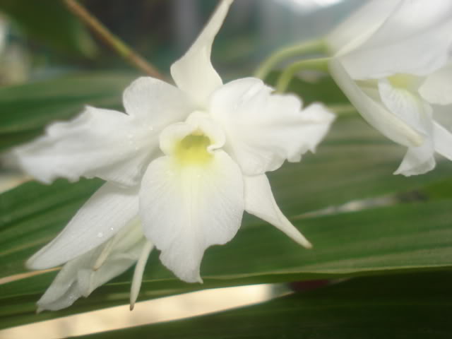 DSC04220.jpg