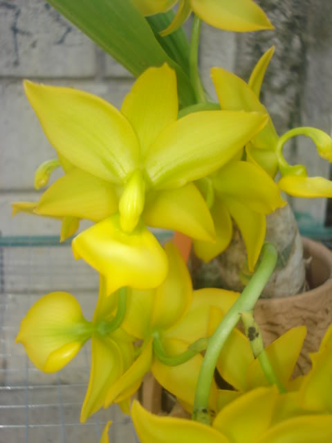 DSC04242.jpg