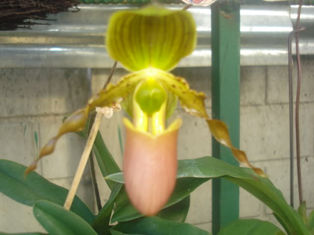 DSC04256.jpg