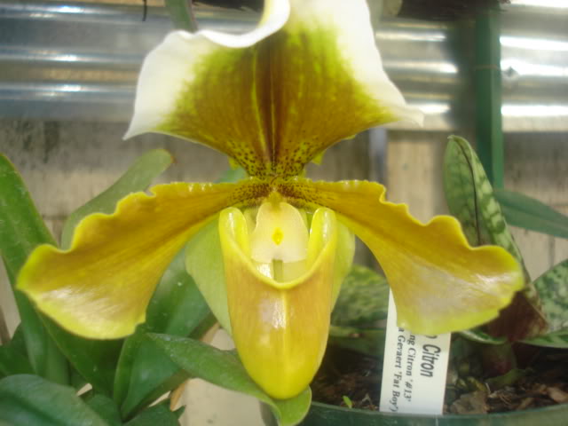 DSC04257.jpg