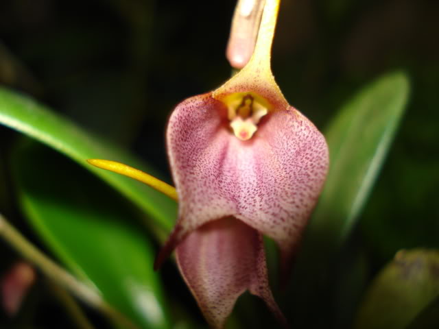 DSC04317.jpg