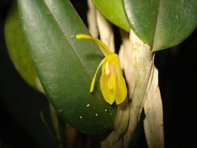 DSC04350.jpg