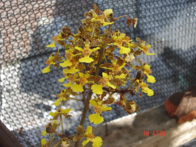 DSC04352.jpg