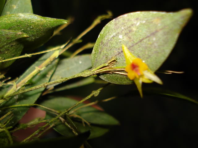 DSC04358.jpg