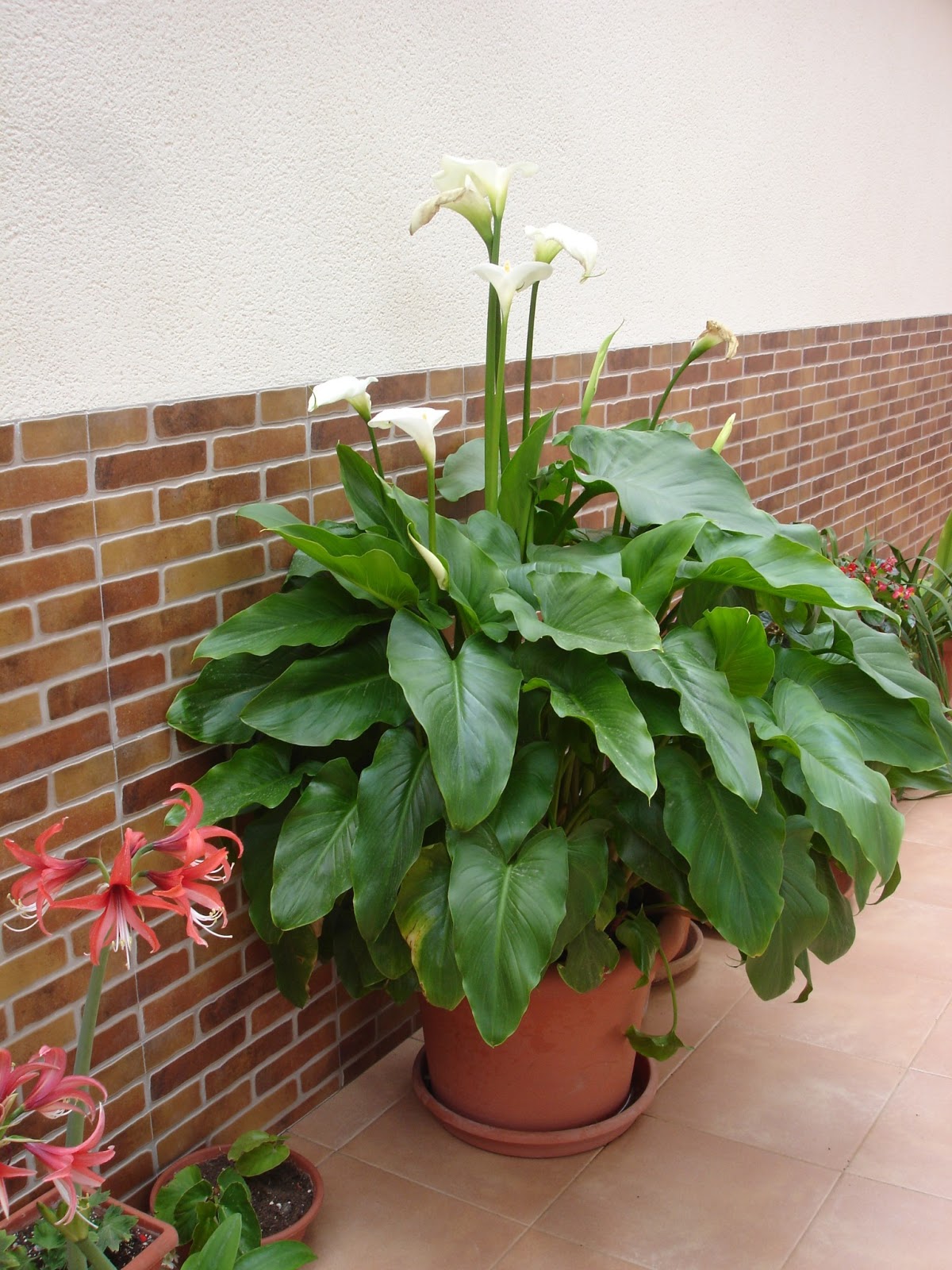 DSC04372.JPG
