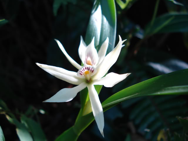DSC04374.jpg