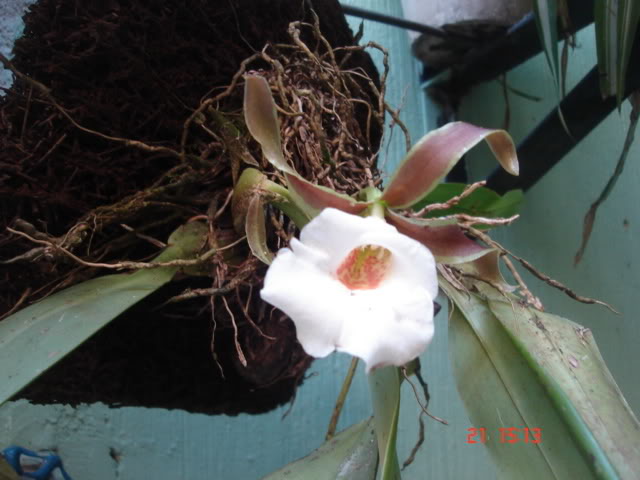 DSC04389.jpg