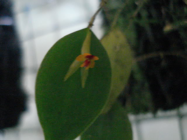 DSC04394.jpg