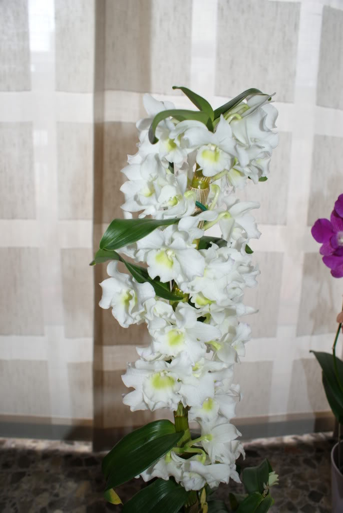 DSC04396.jpg