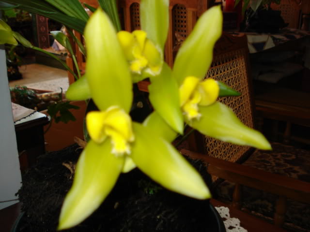 DSC04397.jpg