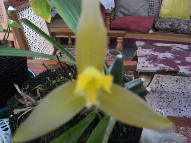 DSC04404.jpg