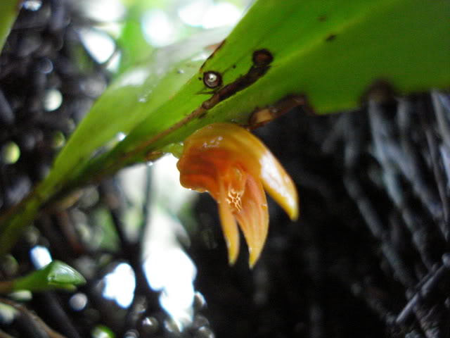 DSC04482.jpg