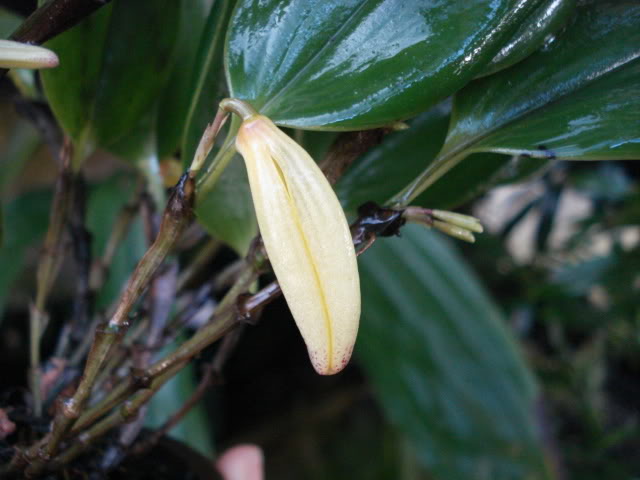 DSC04485.jpg