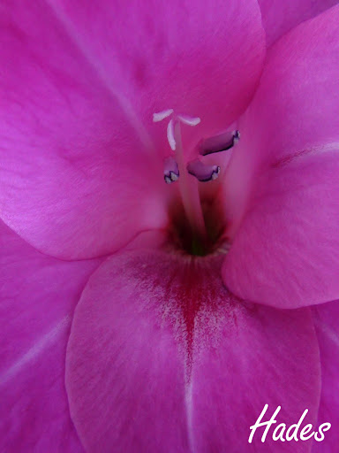 DSC04500.jpg
