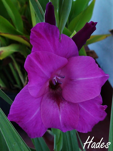 DSC04504.jpg