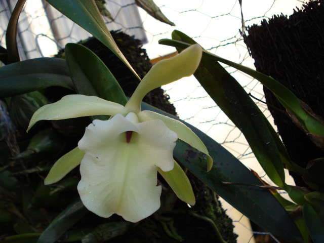 DSC04518.jpg