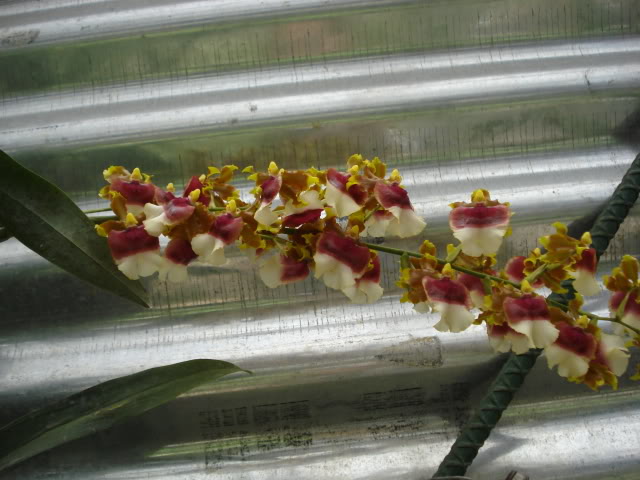 DSC04543.jpg