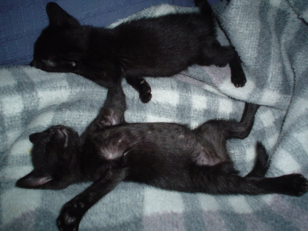 DSC04548.JPG