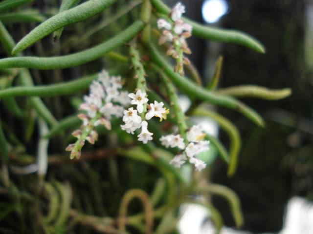 DSC04555.jpg