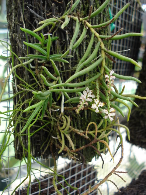 DSC04559.jpg