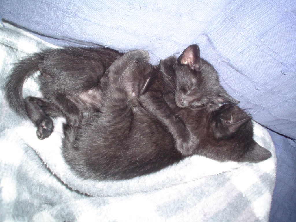 DSC04564.JPG