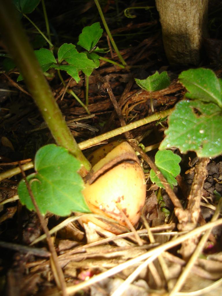 DSC04591_zpsf25547d4.jpg