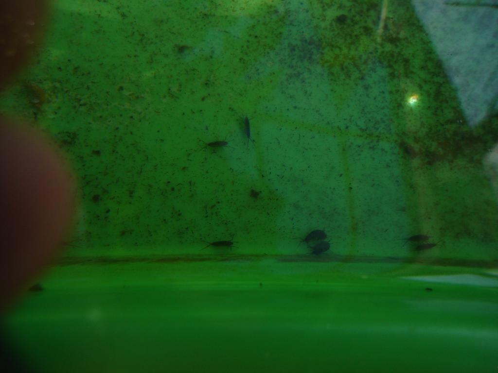 DSC04593_zps894bf108.jpg