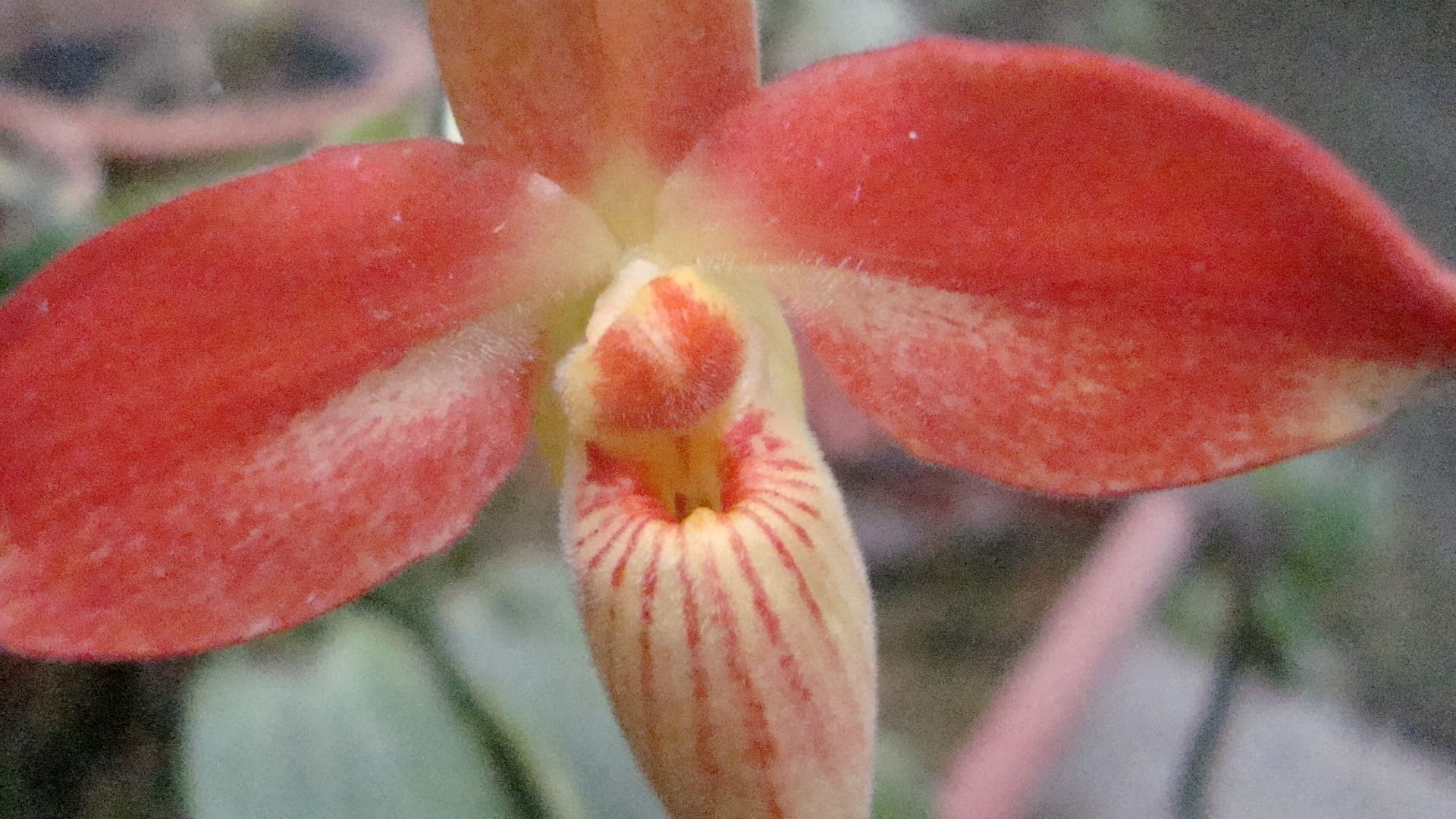 DSC04604.jpg