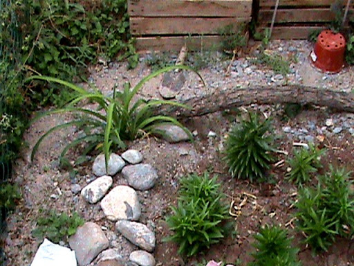 DSC04622.JPG