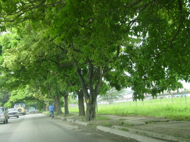 DSC04643.JPG