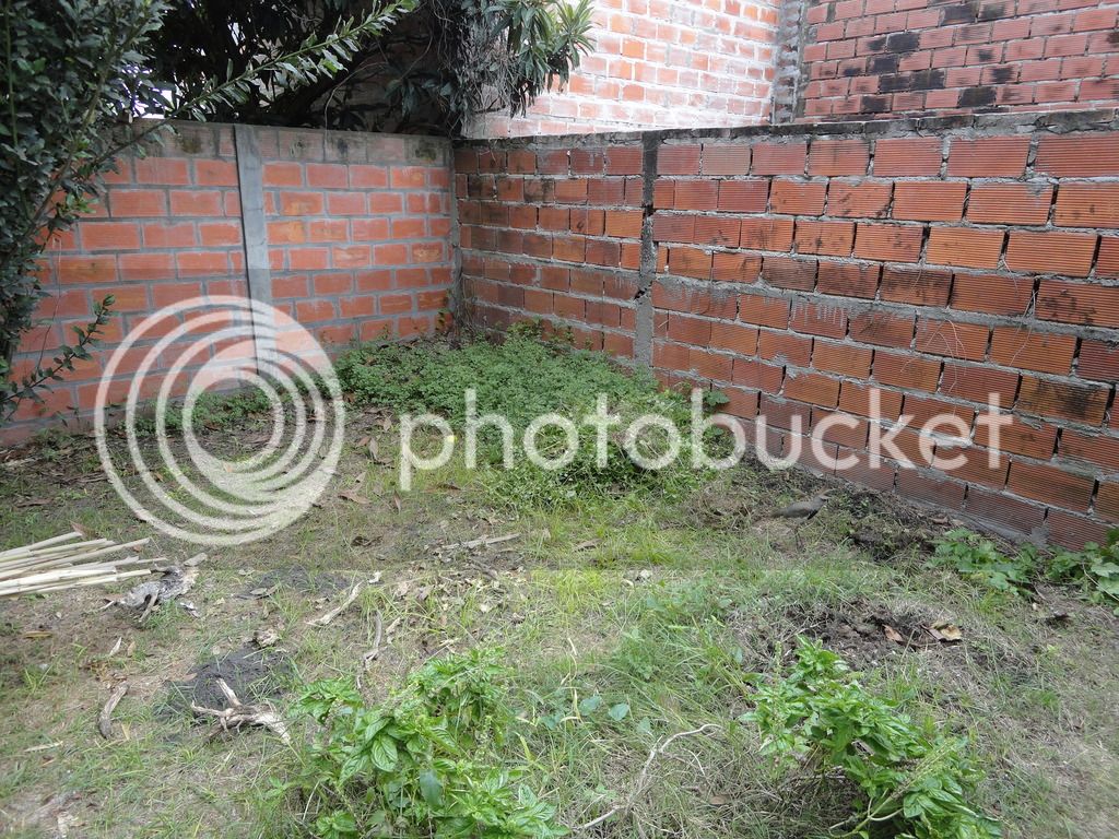 DSC04643_zpsenzzzasf.jpg