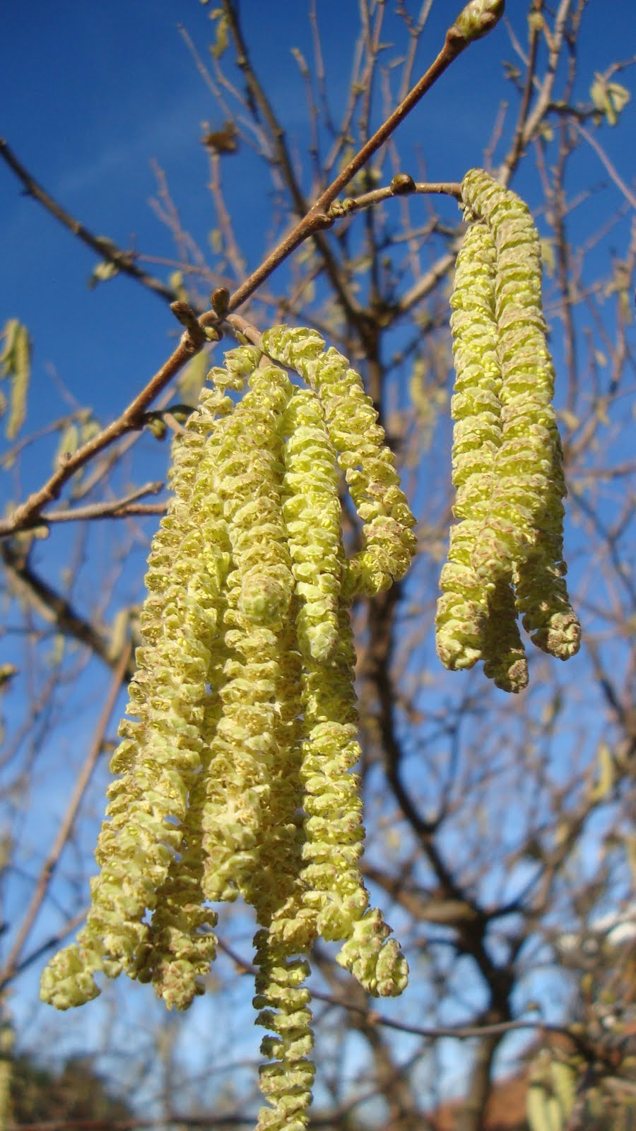 DSC04646.JPG