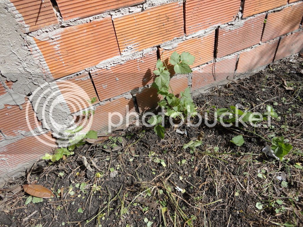 DSC04648_zpsnzti0dh1.jpg
