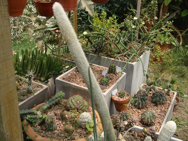 DSC04670.JPG