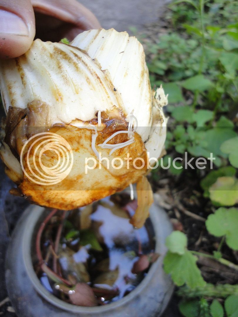 DSC04689_zpsriixdgyl.jpg