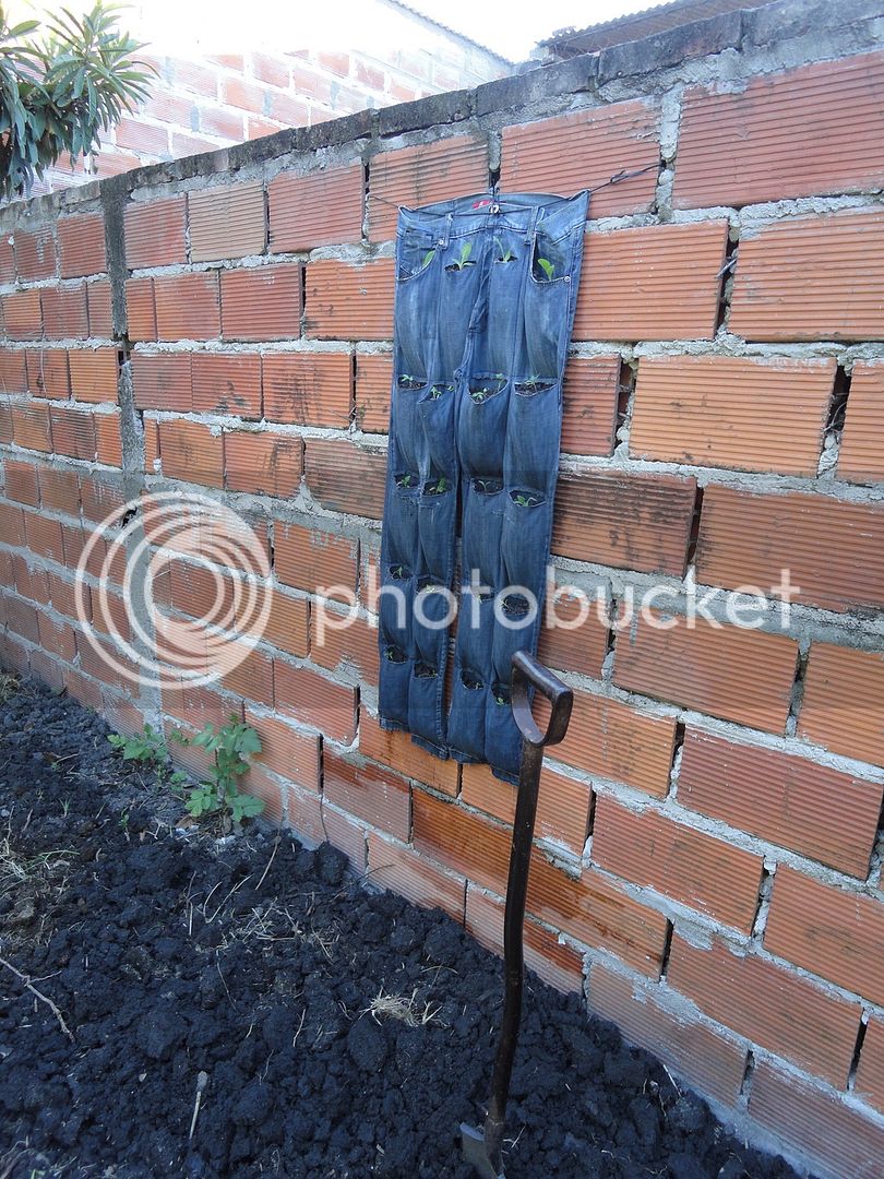 DSC04697_zps2evktdt5.jpg