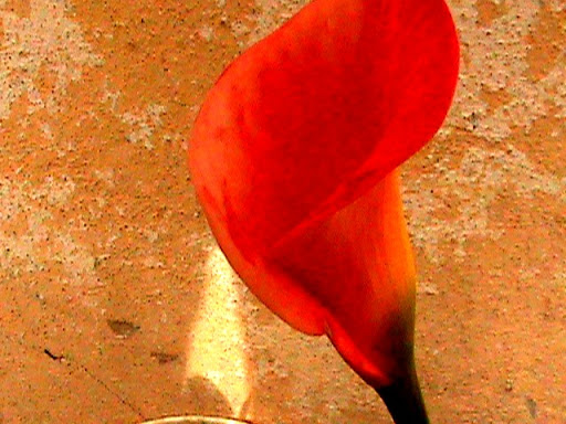 DSC04777.JPG