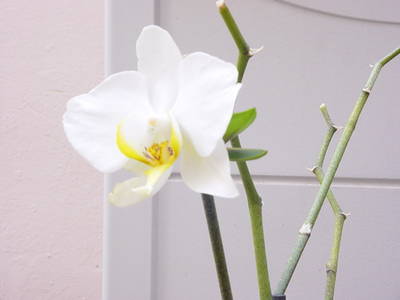 DSC04792.JPG