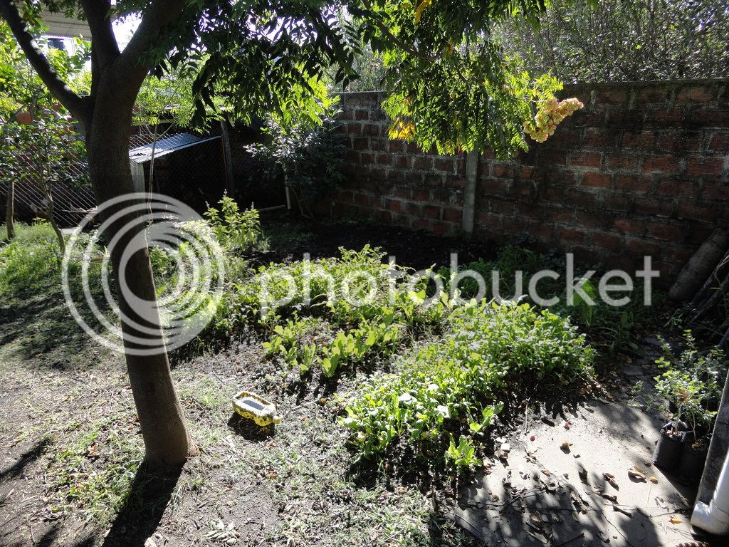 DSC04805_zpscf2vslf0.jpg