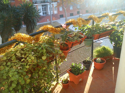DSC04846.jpg