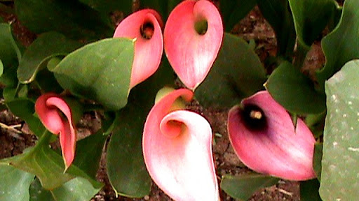 DSC04892.JPG
