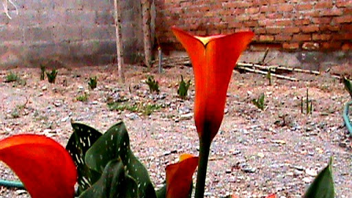 DSC04908.JPG