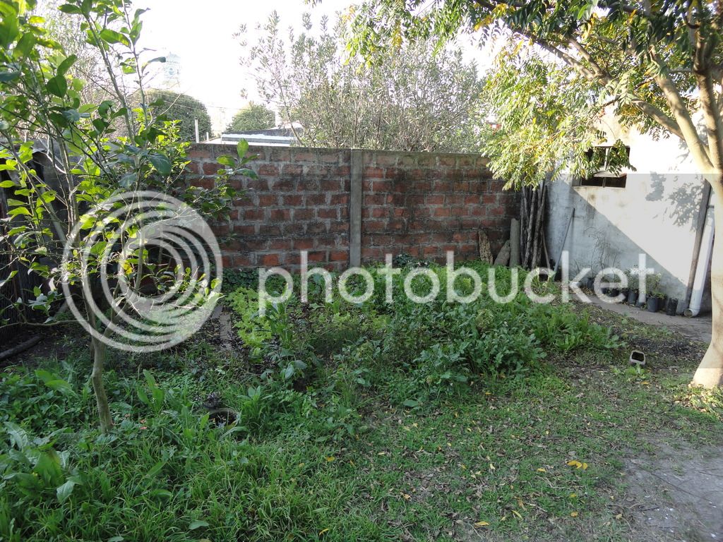 DSC04918_zpssmowr5gk.jpg