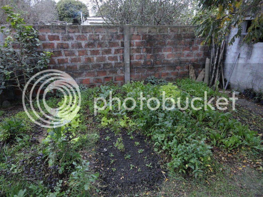 DSC04921_zpspooyoiky.jpg