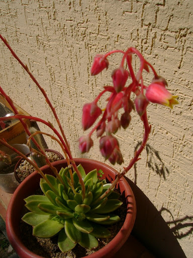 DSC04928.jpg