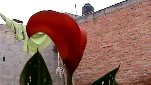DSC04928.JPG