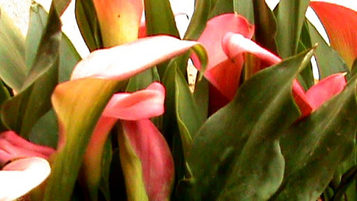 DSC04957.JPG