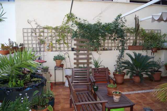 DSC04962.jpg