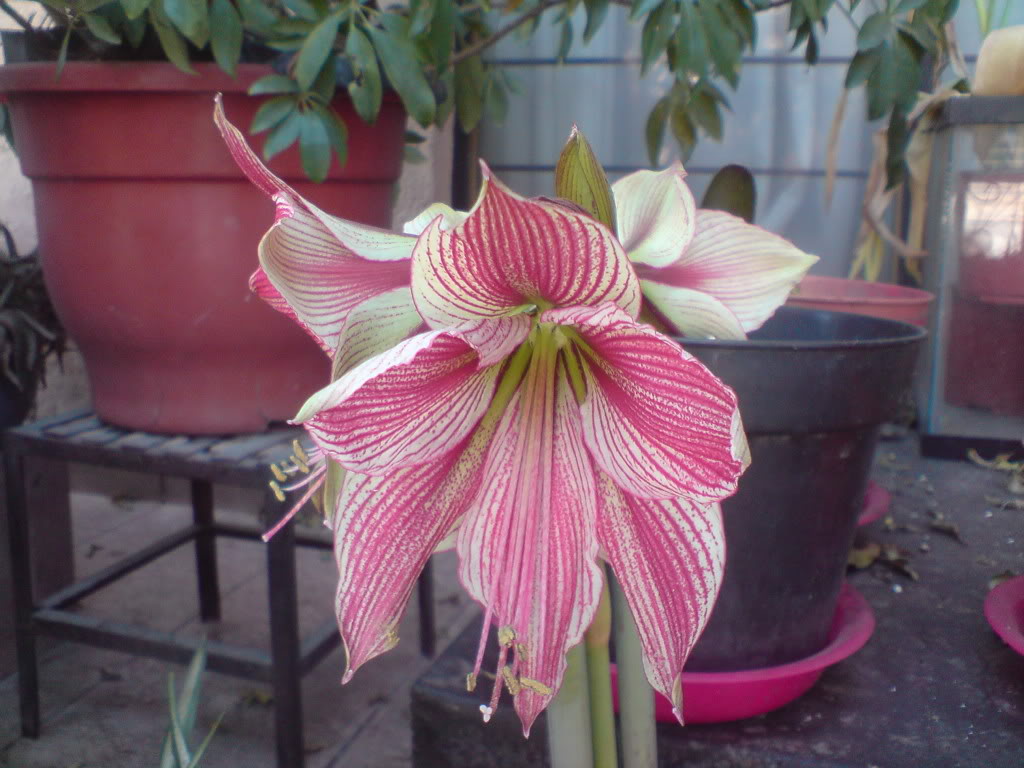 DSC05027.jpg