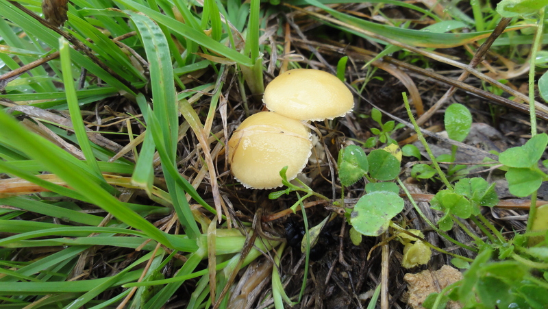 DSC05028.JPG